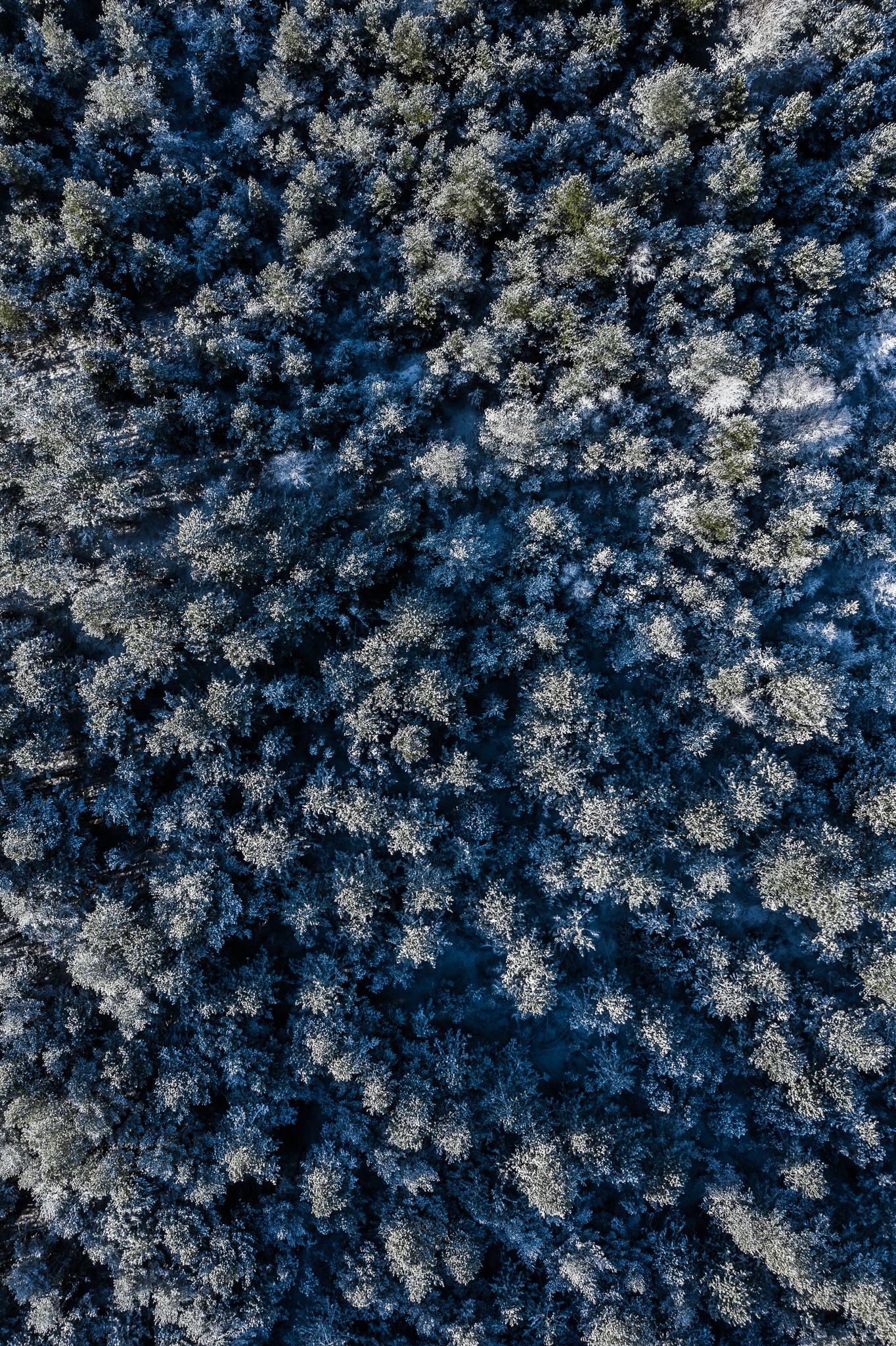 Vinter billeder fra luften af Danmark ved Herning